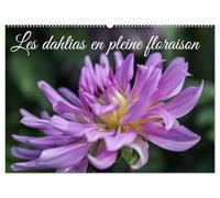 Les Dahlias en pleine floraison (Calendrier mural 2026 DIN A2 vertical), CALVENDO calendrier mensuel: Ce calendrier met en avant différentes variétés ... couleurs éclatantes et leurs formes uniques.