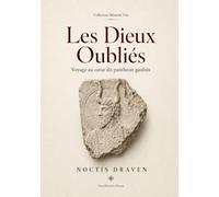 Les Dieux Oubliés: Voyage au cœur du panthéon gaulois: 2 (MÉMOIRE VIVE)
