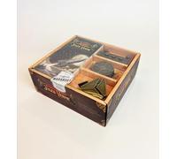 Les énigmes extraordinaires de Jules Verne