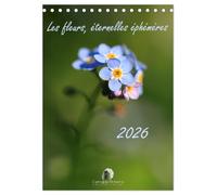 Les fleurs, éternelles éphemères (Calendrier de bureau 2026 DIN A5 horizontal), CALVENDO calendrier mensuel: Un calendrier poétique qui capture, mois ... fleurs dans toute leur splendeur éphémère.