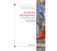 Les formes de l'expérience: Une autre histoire sociale