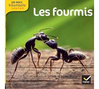 Les fourmis: Grande section, CP, CE1 (Cycle 2)