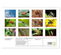 Les gardiens des écosystèmes (Calendrier mural haut de gamme 2027 DIN A2 vertical), CALVENDO calendrier mensuel