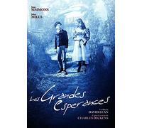 Les Grandes espérances [Francia] [DVD]