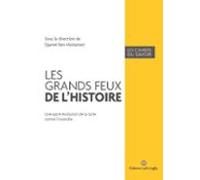 Les Grands Feux De Lhistoire (ebook)