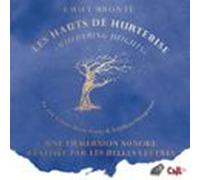 Les Hauts De Hurtebise (audiolibro)