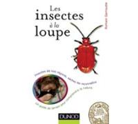 Les Insectes À La Loupe (ebook)