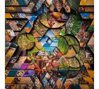 Les Jardins Mystiques Vol.1 [解説書付 / 国内仕様輸入盤 / 3CD] (BRFD134)