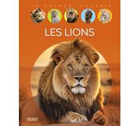 Les lions (LA GRANDE IMAGERIE)