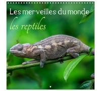 Les merveilles du monde les reptiles (Calendrier mural carré 2026 30 x 60 cm (ouvert)) Calendrier double avec une page pour vos prises de notes