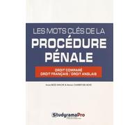 Les mots clés de la procédure pénale: Droit comparé, droit français/droit anglais