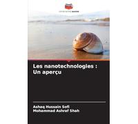 Les nanotechnologies: Un aperçu