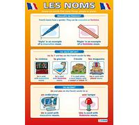 Les Noms | Carteles de aprendizaje de idiomas | Papel laminado brillante de 850 mm x 594 mm (A1) | Gráficos de segundo idioma para el aula | Cuadros educativos por Daydream Education