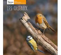 Les oiseaux: Mes premiers documentaires