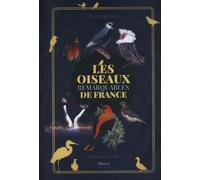 Les oiseaux remarquables de France