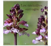 Les orchidées sauvages (Calendrier mural carré 2026 30 x 60 cm (ouvert)) Calendrier double avec une page pour vos prises de notes
