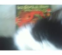 Les Ours du Scorff - Le Plus mieux - Les Ours du Scorff KMCD 136