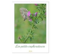Les petits explorateurs (Calendrier mural 2026 DIN A3 horizontal), CALVENDO calendrier mensuel: Découvrez la magie des insectes !