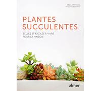 Les plantes succulentes: Belles et faciles à vivre pour la maison