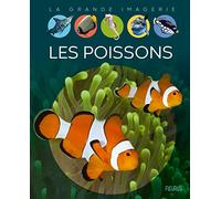 Les poissons (LA GRANDE IMAGERIE)