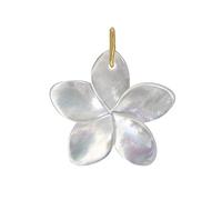 LES POULETTES BIJOUX - Colgante Chapado en Oro Flor de Frangipani de Nácar - Blanco