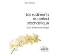 Les Rudiments Du Calcul Stochastique (ebook)