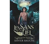 Les Sans Ciel: Urban fantasy - Entre rivalité fraternelle, anges déchus et amour interdit