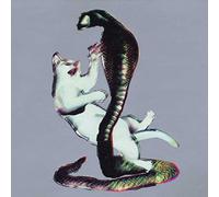 Les Savy Fav - Cat Cobra