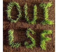 Les Savy Fav - OUI, LSF LP bloodshot