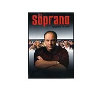Les Soprano : L'Intégrale Saison 1 - Coffret 4 DVD [Import belge]