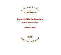 Les suicidés de Demmin: 1945, un cas de violence de guerre