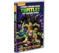 Les Tortues Ninja - Vol. 2 : Shredder sort de l'ombre [Francia] [DVD]