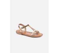 Les Tropéziennes par M Belarbi Bada 29 Oro y bronce