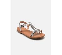 Les Tropéziennes par M Belarbi Badou 33 Plata