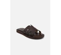 Les Tropéziennes par M Belarbi EMIA 42 Marrón