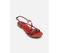 Les tropeziennes par M. Belarbi HAMOON 36 Rojo