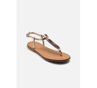 Les Tropéziennes par M Belarbi HARVIL 38 Oro y bronce