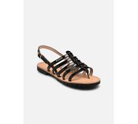 Les tropeziennes par M. Belarbi HEXACO 39 Negro