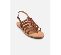 Les Tropéziennes par M Belarbi HIKA 36 Marrón