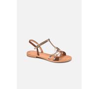 Les tropeziennes par M. Belarbi HIRONELA 37 Marrón