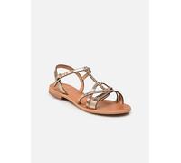 Les tropeziennes par M. Belarbi HIRONELA 39 Oro y bronce