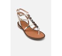 Les Tropéziennes par M Belarbi HORELIA 39 Blanco