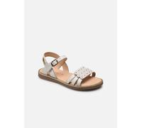 Les Tropéziennes par M Belarbi ISIDOR 25 Blanco