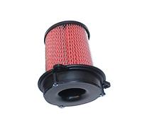 LESANGBAIHUODIAN Elemento de filtro de motocicleta filtros de filtro de aire filtración apto for KEEWAY RKV 125 / RKV 150 QIANJIANG QJ150-19A/19C (Color : 1 PC)