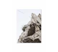 Lescaleta. El Sabor De La Montaña Magica