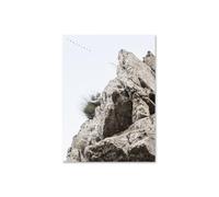 Lescaleta. El Sabor De La Montaña Magica