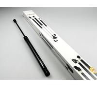 Lesjöfors 8108417 - Muelle neumático, Cristal trasero