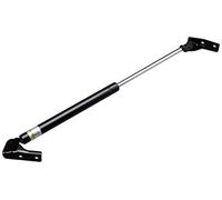 Lesjöfors 8188902 Resorte de Gas para Maletero