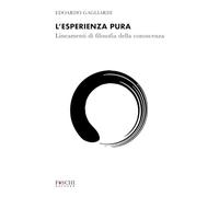 L'esperienza pura. Lineamenti di filosofia della conoscenza (Mystes)