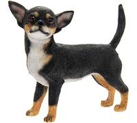 Lesser & Pavey - Chihuahua (11 cm), Color Negro y marrón